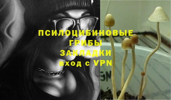сатива Корсаков