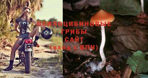 молекула духа Костерёво