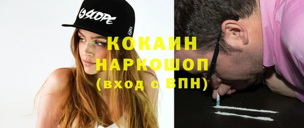сатива Корсаков