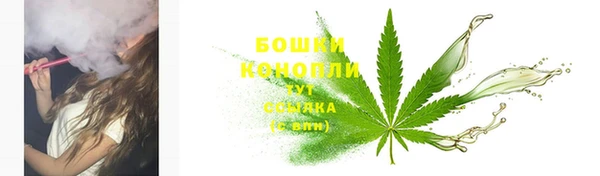 сатива Корсаков