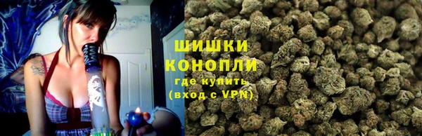 молекула духа Костерёво