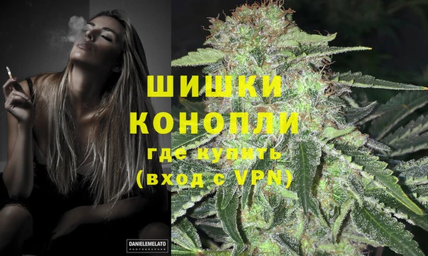 сатива Корсаков