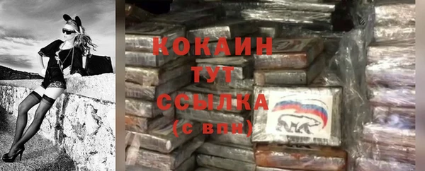 молекула духа Костерёво