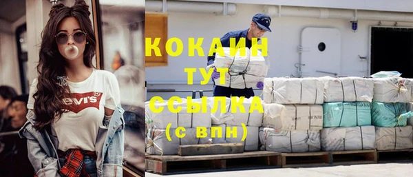 сатива Корсаков