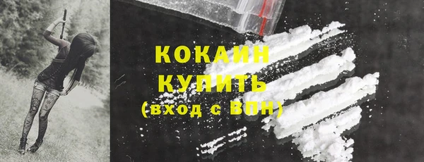 молекула духа Костерёво