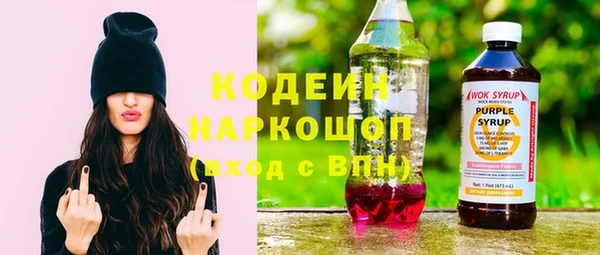 молекула духа Костерёво