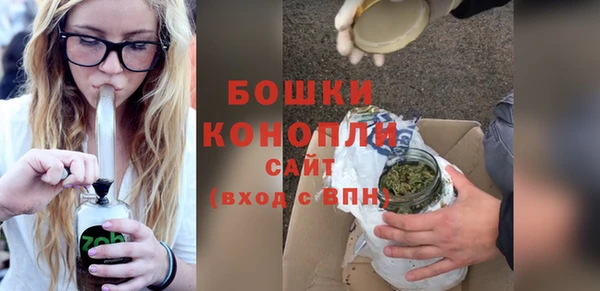 сатива Корсаков