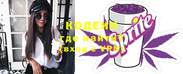 молекула духа Костерёво