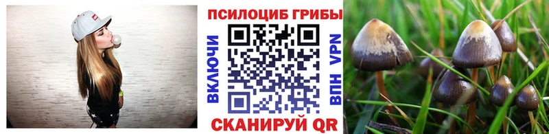 kraken зеркало  Фрязино  Галлюциногенные грибы Magic Shrooms  цены  