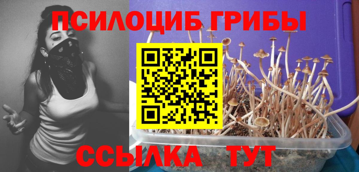 Псилоцибиновые грибы мицелий Фрязино