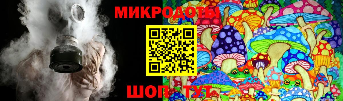 Псилоцибиновые грибы Psilocybe  Фрязино 