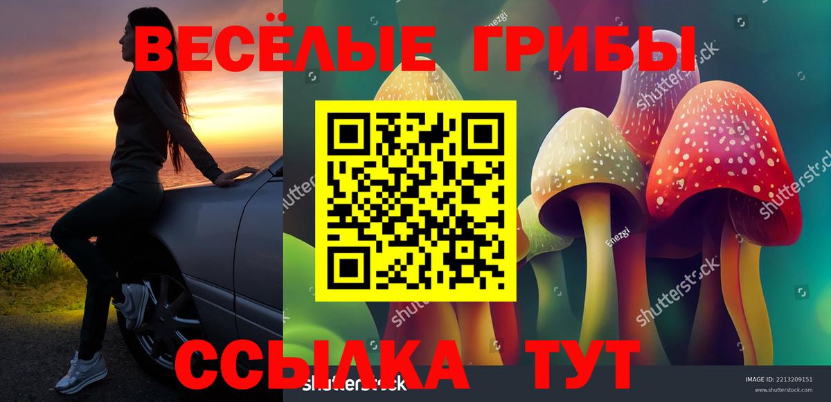 Псилоцибиновые грибы ЛСД  Вход с VPN  Фрязино 