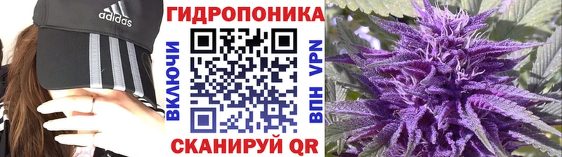 Конопля ГИДРОПОН как найти закладки Фрязино